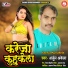 Arjun Akela
