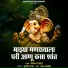 Vikas Salve