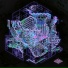 The Algorithm