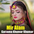 Mir Alam