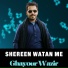 Ghayour Wazir