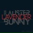 Dee Auster Bunny