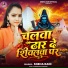 Sneha Rani