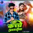 Vishal Raj, Princy Singh
