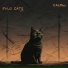 Qjorn feat. Fi-lo cats