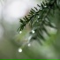 It's Raining, Zen Meditate, Nature Sounds