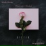 [DLM]-RILTIM