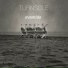 Turnsole