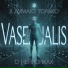 Vasexualis