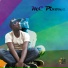 Mc Pixone