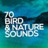 The Sounds of Earth Group