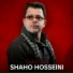Shaho Hosseini