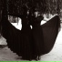 Austra
