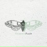 Plane