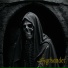 Syrkander