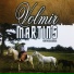 Volmir Martins