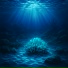 Velune, Guided Meditation Music Zone