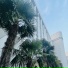养生音乐盒