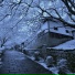 Snowice