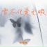 早晚晚