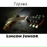 Lincon Junior