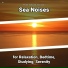 New Age, Ocean Sounds, Nature Sounds