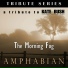 Amphabian