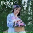 Feiya