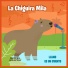 Llano es un cuento, Nicolás Vega, Walter Silva