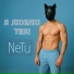 NeTu