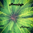 Azambuja