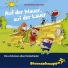 Sternschnuppe