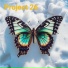 Project 26