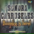 Sonora Carruseles