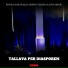 Edona Hasanaj, Labinot Rexha, Ezo Menic