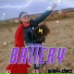 Bumblebeats