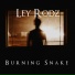 Ley Rodz