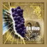 VINO NUEVO