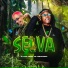 dj caio vieira, mc laranjinha