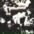 LAST OUTSIDER