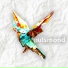 pulsmond