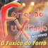Forrozão Fuxicado