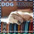 Relax My Dog, Dog Music Dreams