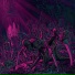 A Trust Unclean