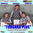 TORGARA PLUS