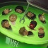 Pinqnoizz
