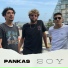 Pankas