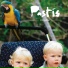 Pastis