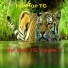 Hip Hop TG