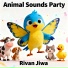 Rivan Jiwa
